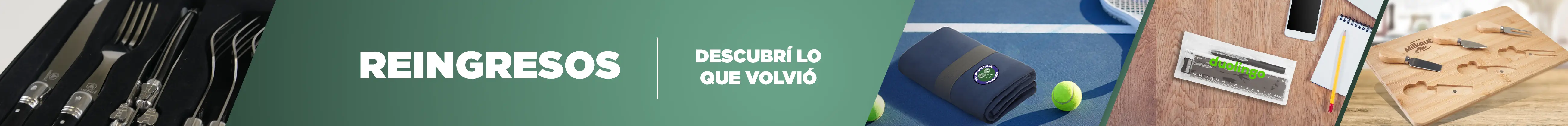 2026 Reingresos